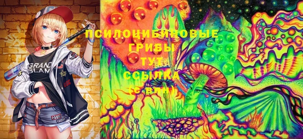 МДПВ Вязники