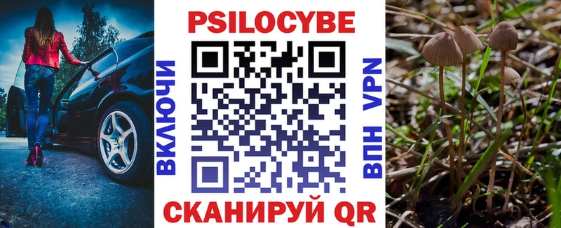 Галлюциногенные грибы мицелий  Тюмень 